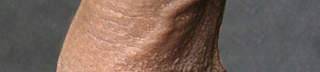 Illustration for article titled All 8 Glorious Inches Of Purebred American Cock...Ranked